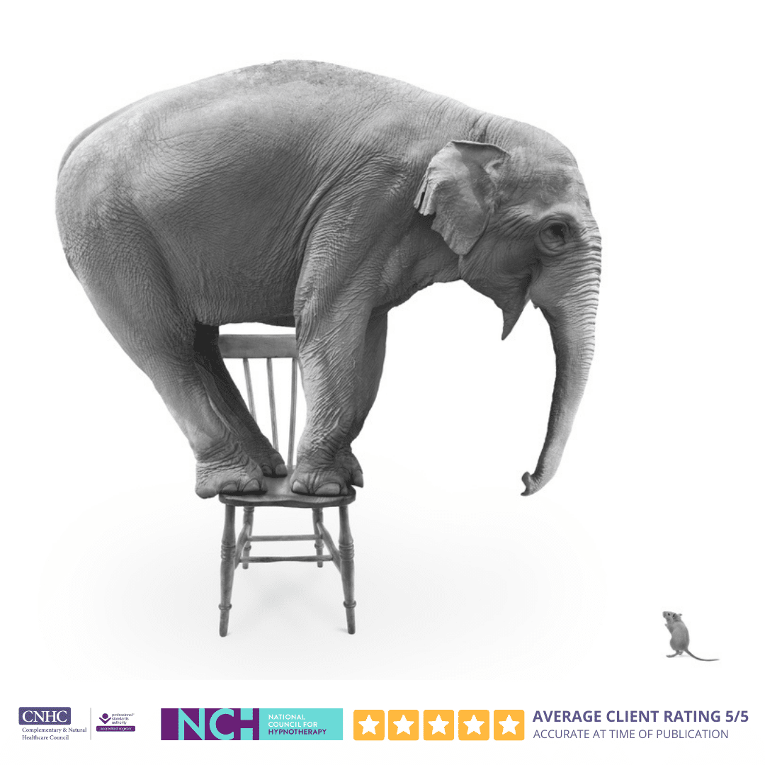 Phobia Solution Programme